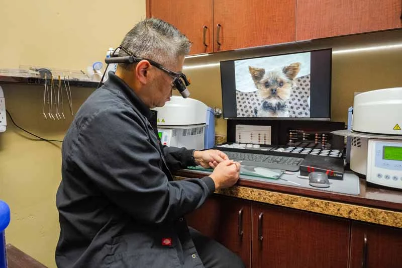 dental veneers Roseville, CA